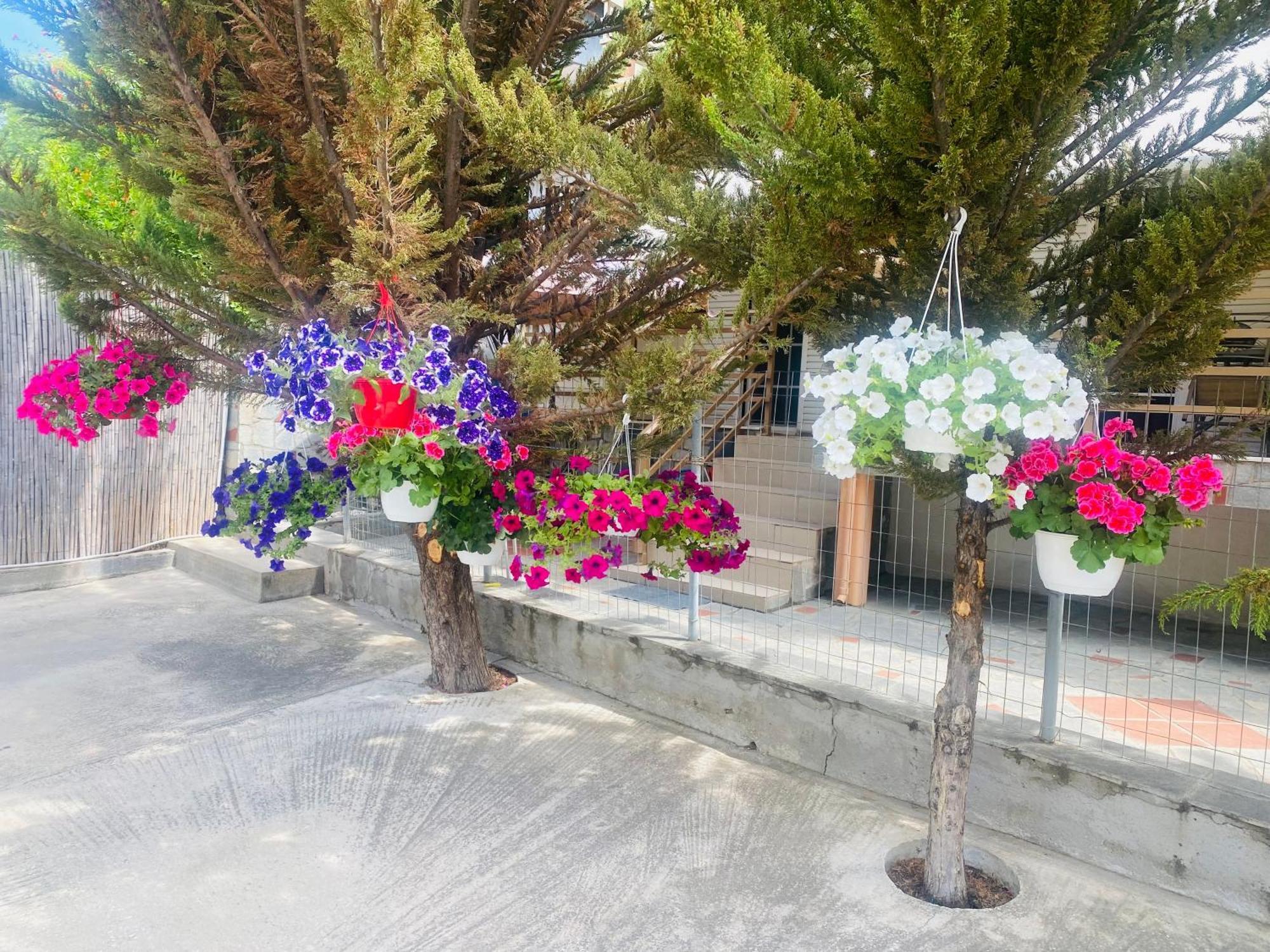 Markos Studios Потос Екстер'єр фото